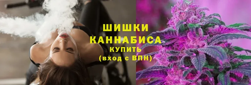 Бошки марихуана THC 21%  Цоци-Юрт 